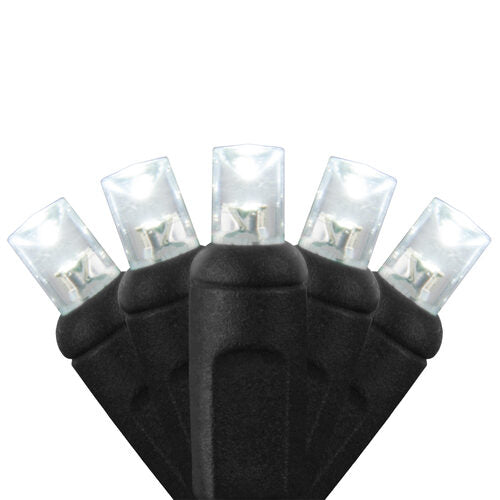 70 5mm Cool White LED Christmas Lights, Black Wire, 4" Spacing