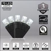 70 5mm Cool White LED Christmas Lights, Black Wire, 4" Spacing