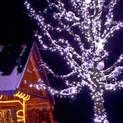 70 5mm Cool White LED Christmas Lights, Green Wire, 4" Spacing