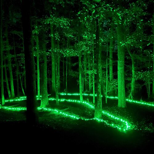 5mm Green LED Christmas Lights, Green Wire