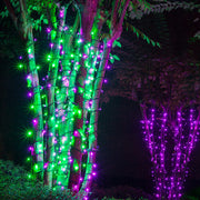5mm Green LED Christmas Lights, Green Wire
