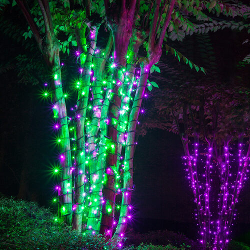 70 5mm Green, Purple LED Christmas Lights, Black Wire, 4" Spacing