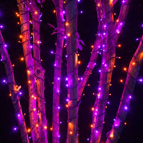 70 5mm Orange, Purple LED Christmas Lights, Black Wire, 4" Spacing