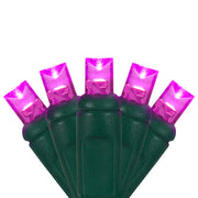 70 5mm Pink LED Christmas Lights, Green Wire, 4" Spacing