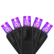 70 5mm Purple LED Christmas Lights, Black Wire, 4" Spacing