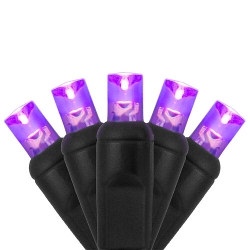 70 5mm Purple LED Christmas Lights, Black Wire, 4" Spacing