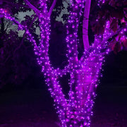 70 5mm Purple LED Christmas Lights, Green Wire, 4" Spacing