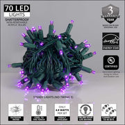 70 5mm Purple LED Christmas Lights, Green Wire, 4" Spacing
