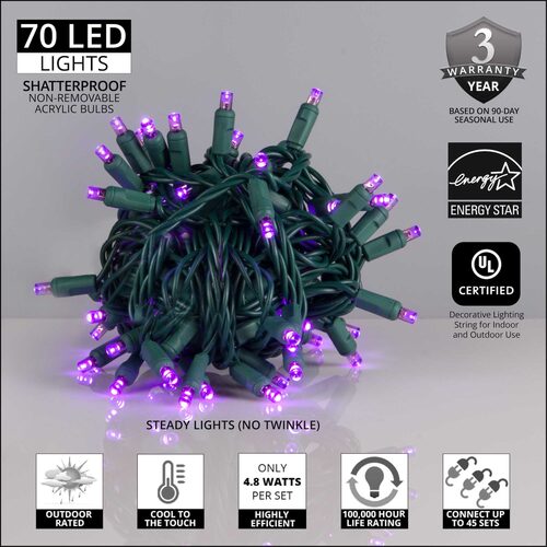 70 5mm Purple LED Christmas Lights, Green Wire, 4" Spacing