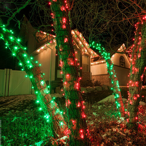 5mm Red LED Christmas Lights, Green Wire