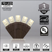 5mm Warm White LED Christmas Lights, Brown Wire