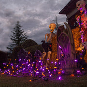 70 Amber, Purple M5 LED Icicle Lights on Black Wire