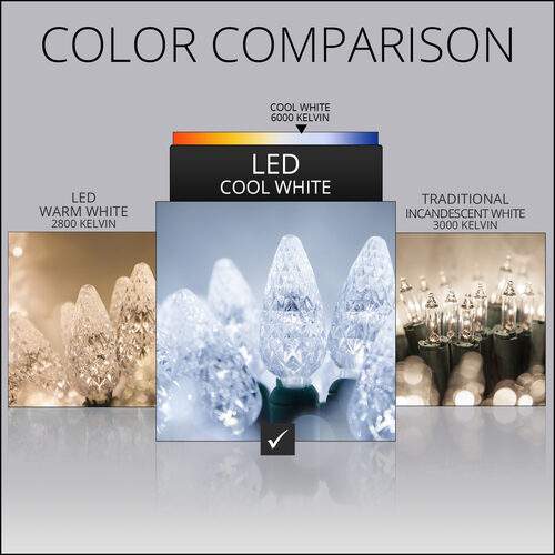 70 C6 Cool White LED Christmas Lights, Green Wire, 4" Spacing
