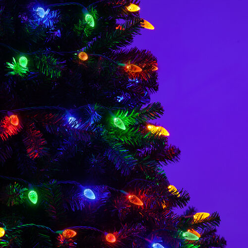 70 C6 Multi Color LED Christmas Lights, Green Wire, 4" Spacing
