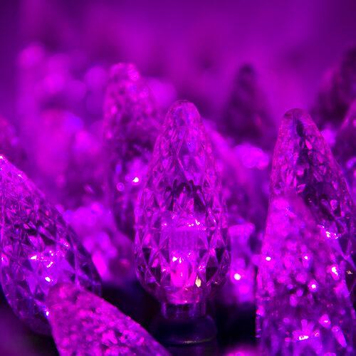 70 C6 Purple LED Christmas Lights, Green Wire, 4" Spacing