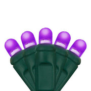 70 Lux360 TM D5 TM Purple LED Christmas Lights, Green Wire, 4" Spacing