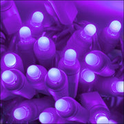 70 Lux360 TM D5 TM Purple LED Christmas Lights, Green Wire, 4" Spacing