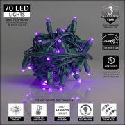 70 Lux360 TM D5 TM Purple LED Christmas Lights, Green Wire, 4" Spacing
