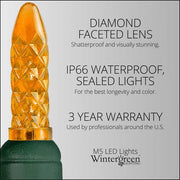 70 M5 Amber LED Lights, Green Wire, 4" Spacing