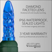 70 M5 Blue LED Lights, Green Wire, 4" Spacing