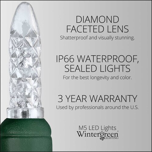 70 M5 Cool White LED Lights, Green Wire, 4" Spacing