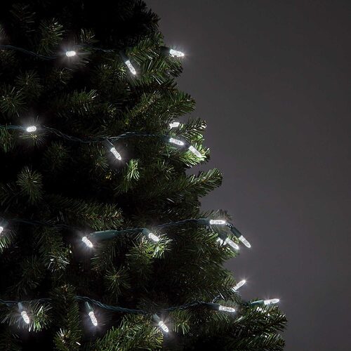 70 M5 Cool White LED Lights, Green Wire, 4" Spacing