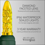 70 M5 Gold LED Lights, Green Wire, 4" Spacing