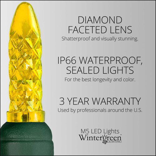 70 M5 Gold LED Lights, Green Wire, 4" Spacing