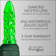 70 M5 Green LED Lights, Green Wire, 4" Spacing