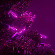70 M5 Pink LED Lights, Green Wire, 4" Spacing