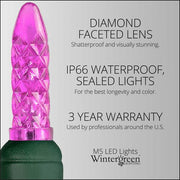 70 M5 Pink LED Lights, Green Wire, 4" Spacing