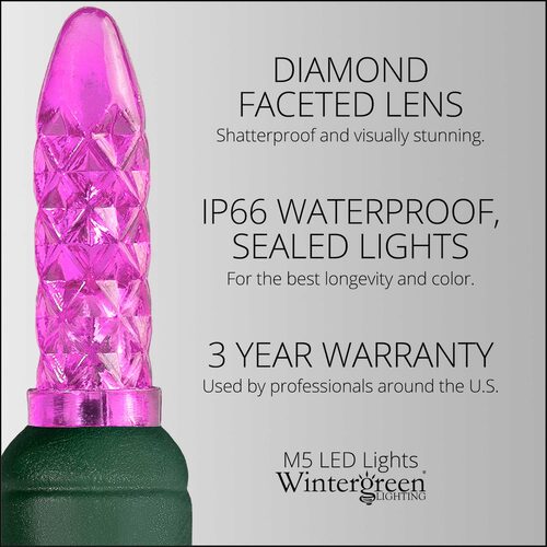 70 M5 Pink LED Lights, Green Wire, 4" Spacing