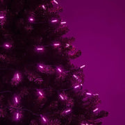70 M5 Pink LED Lights, Green Wire, 4" Spacing