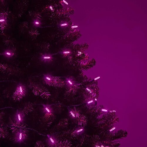 70 M5 Pink LED Lights, Green Wire, 4" Spacing