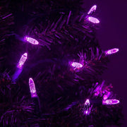 70 M5 Purple LED Lights, Green Wire, 4" Spacing