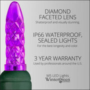 70 M5 Purple LED Lights, Green Wire, 4" Spacing
