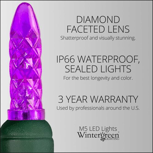 70 M5 Purple LED Lights, Green Wire, 4" Spacing