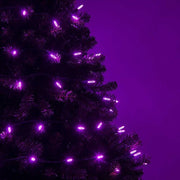70 M5 Purple LED Lights, Green Wire, 4" Spacing