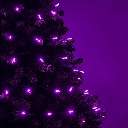 70 M5 Purple LED Lights, Green Wire, 4" Spacing