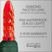 70 M5 Red LED Lights, Green Wire, 4" Spacing