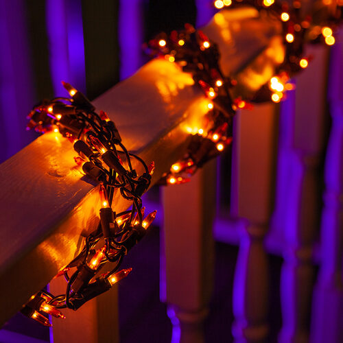 9' Garland Lights, 300 Orange LED Lights, Black Wire