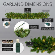 Sequoia Fir Prelit Commercial LED Holiday Garland, 100 Warm White SoftTwinkle Lights