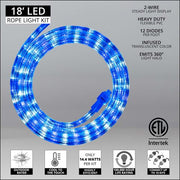 Blue, Cool White LED Rope Light, 18 ft
