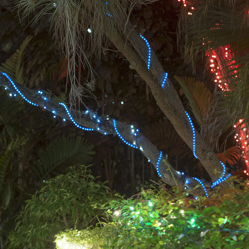 Blue LED Rope Light, 18 ft