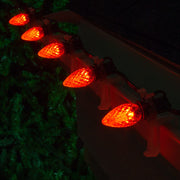 C7 Amber OptiCore Commercial LED Halloween Lights, Lights