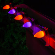 C7 Amber / Purple Smooth OptiCore Commercial LED Halloween Lights, Lights