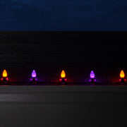 C7 Amber / Purple Smooth OptiCore Commercial LED Halloween Lights, Lights