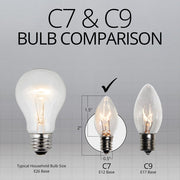 C7 Clear Transparent Bulbs