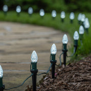 C7 Cool White OptiCore Christmas Pathway Lights, Lights, PathPRO TM Stakes