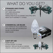 C7 Cool White OptiCore Christmas Pathway Lights, Lights, PathPRO TM Stakes